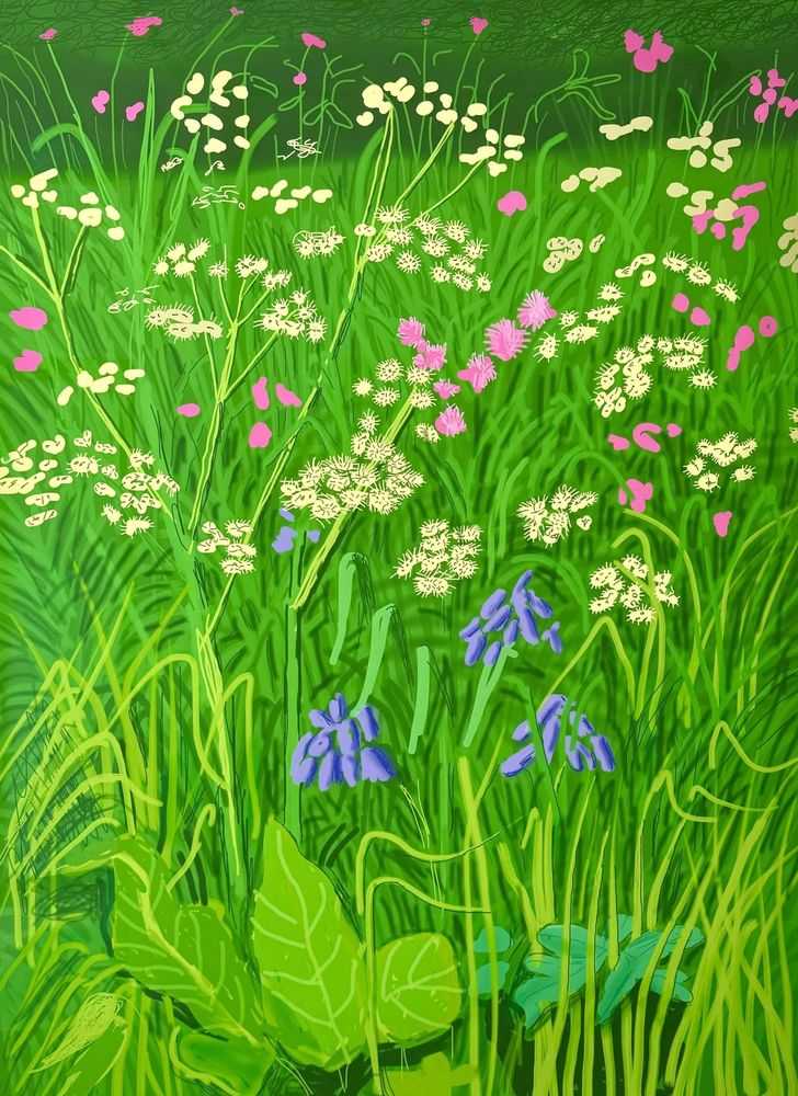 David Hockney, ‘The Arrival Of Spring In Woldgate East Yorkshire 17th May 2011’, 2011, Print, iPad drawing in colours on wove paper, null, Numbered