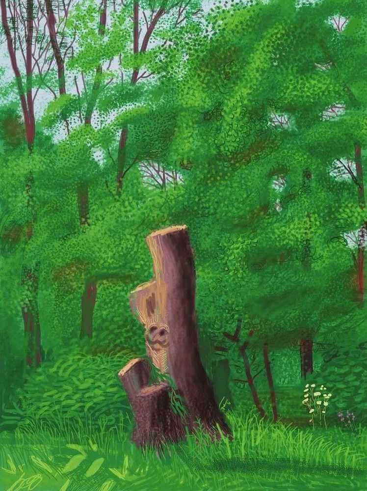 David Hockney, ‘The Arrival Of Spring In Woldgate East Yorkshire 22nd May 2011’, 2011, Print, iPad drawing in colours on wove paper, null, Numbered