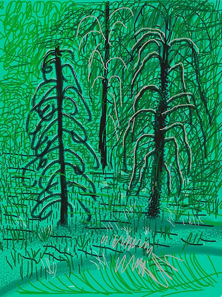 David Hockney, ‘The Yosemite Suite 16’, 2010, Print, iPad drawing in colors, on wove paper, null, Numbered
