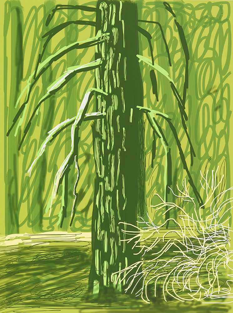 David Hockney, ‘The Yosemite Suite 18’, 2010, Print, iPad drawing in colors, on wove paper, null, Numbered