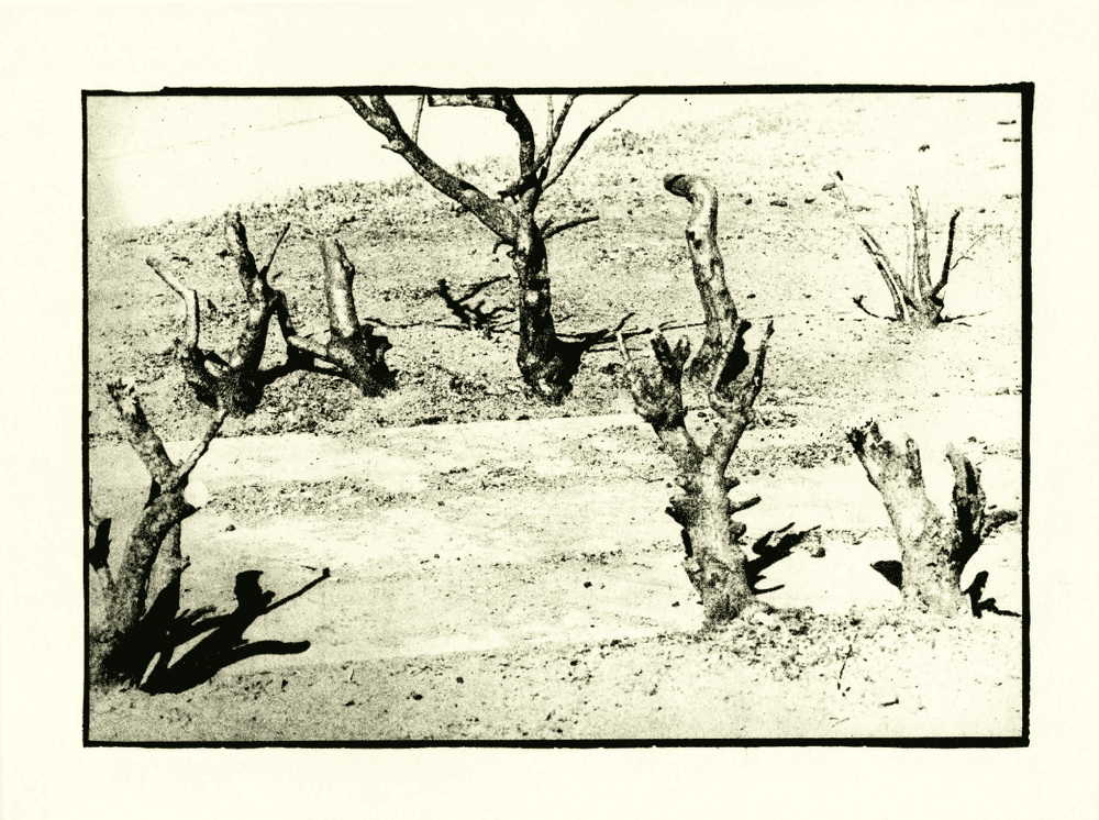 David Lynch, ‘Untitled #11’, 1999, Print, Photogravure, Tandem Press,
