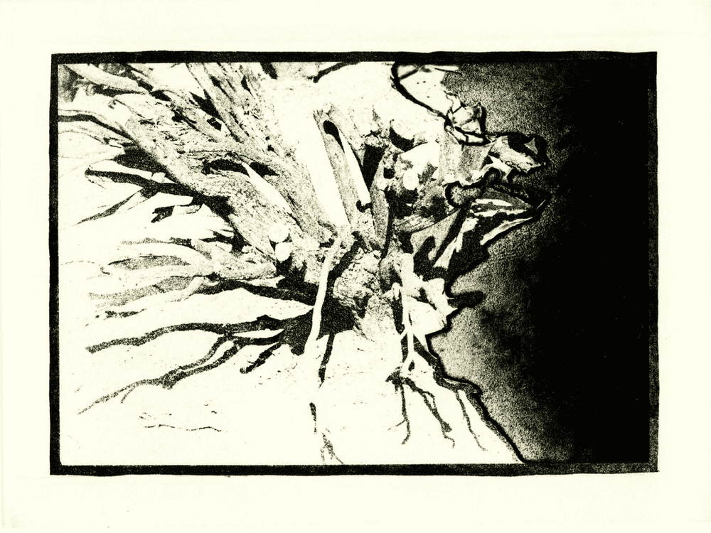 David Lynch, ‘Untitled #1’, 2000, Print, Photogravure, Tandem Press,