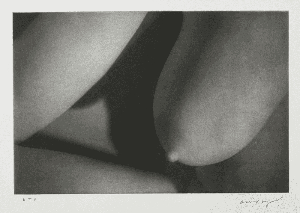 David Lynch, ‘Untitled V’, 2008, Print, Photogravure, Tandem Press,
