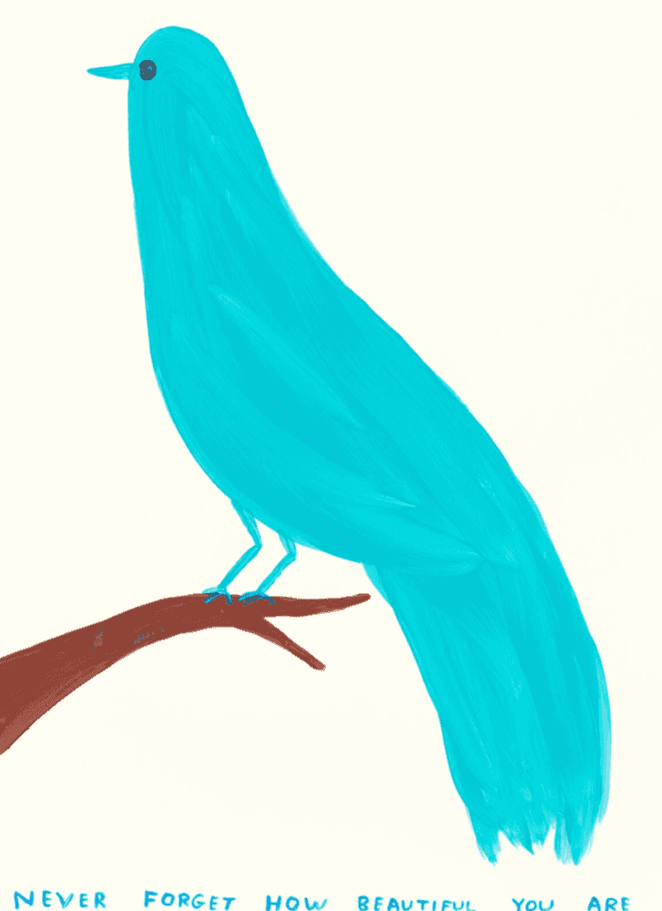 Artwork - https://cdn.fairart.io/large_David_Shrigley_Untitled_Never_Forget_How_Beautiful_You_Are_1_9a179facb6.png