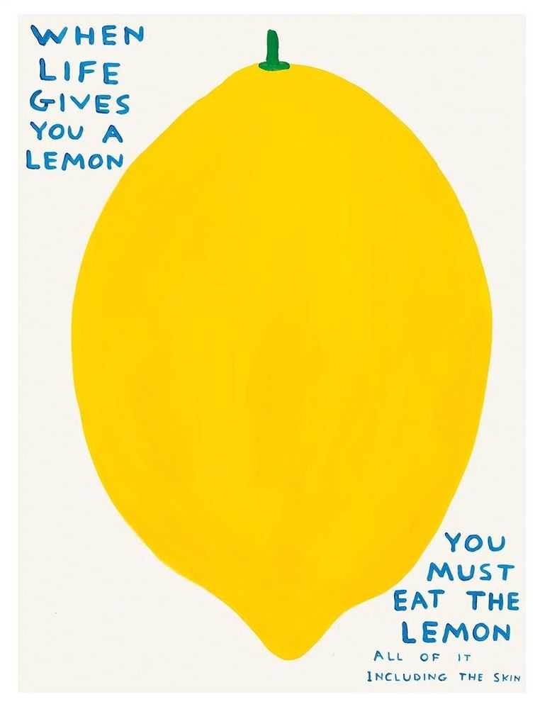 David Shrigley, ‘When Life Gives You a Lemon’, 2021, Print, Off-set lithography Printed on 200g Munken Lynx paper
, null,
