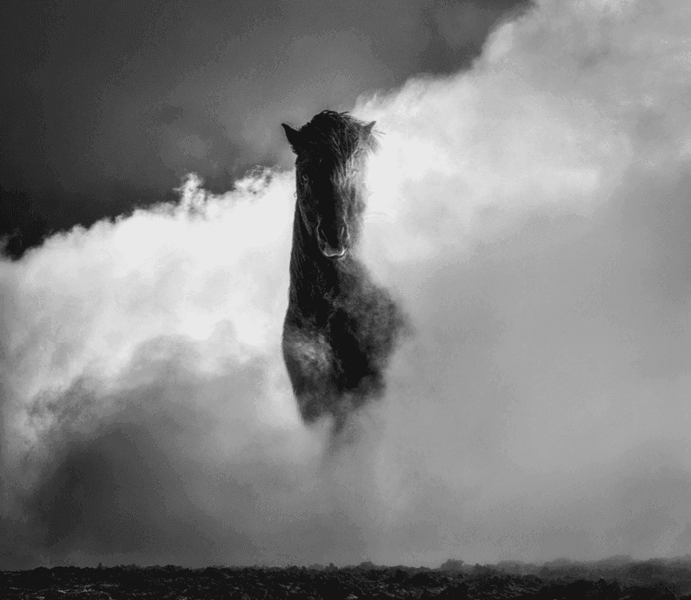 David Yarrow, ‘66 Degrees North’, 2022, Print, Archival Pigment Print, null,
