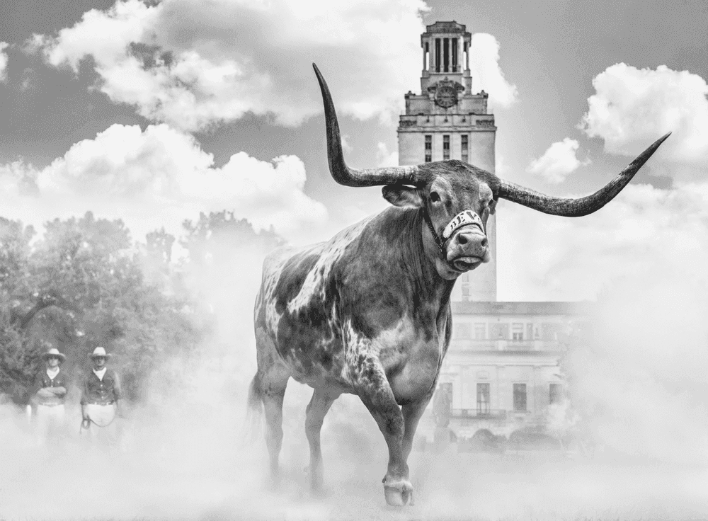 David Yarrow, ‘Hook ‘em Horns’, 2024, Print, Photograph, null,