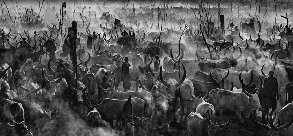 David Yarrow, ‘Mankind’, 2015, Print, Archival Pigment Print, null,