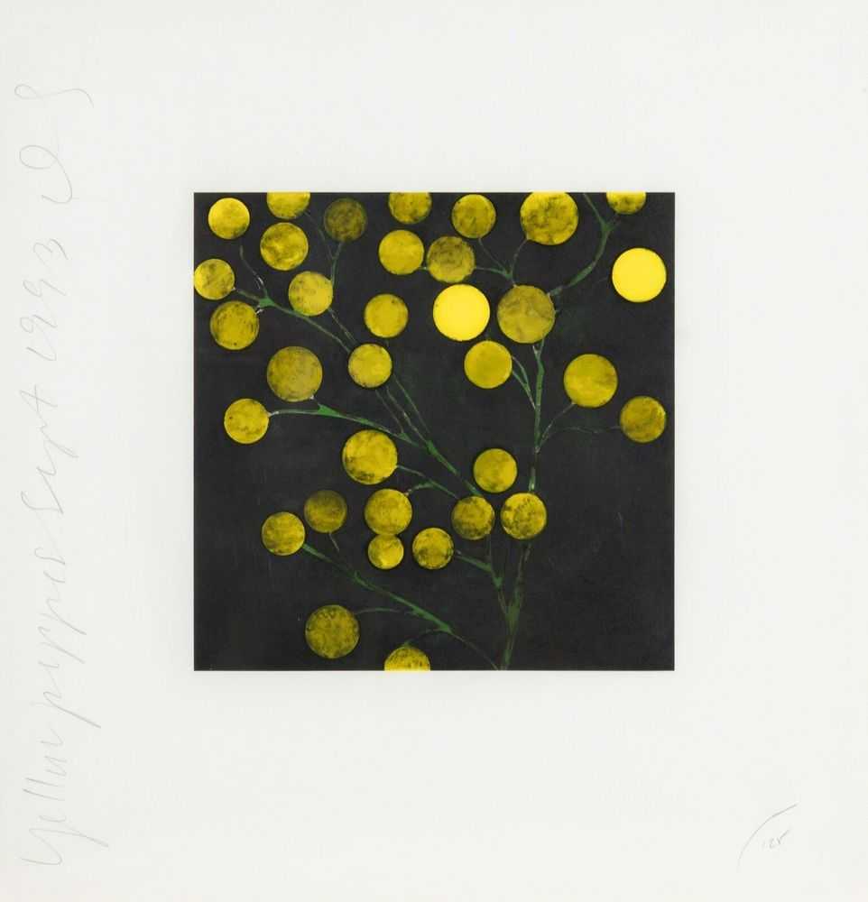 Donald Sultan, ‘Yellow Peppers from Fruits and Flowers III’, 1993, Print, Screenprint in colors on Lenox paper, null, Numbered, Dated