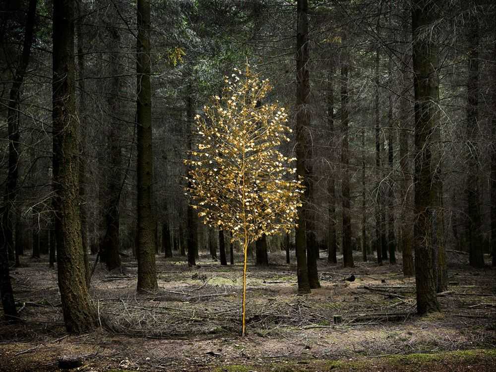 Ellie Davies, ‘Smoke and Mirrors 2’, 2010, Print, C-Type Lightjet Print, null,