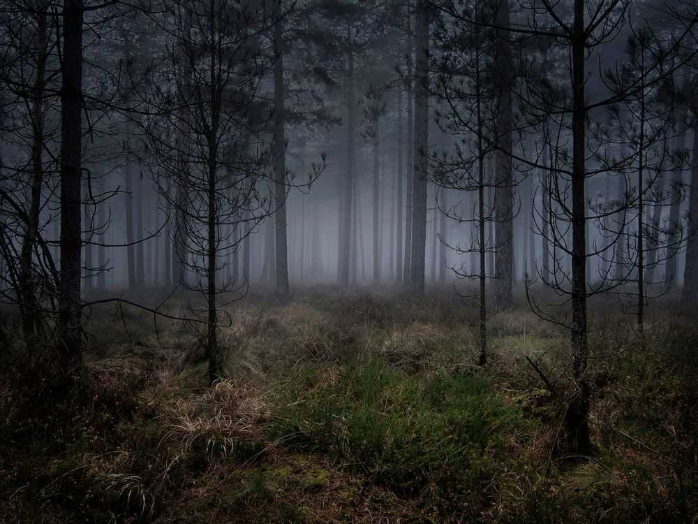 Ellie Davies, ‘Stillness 5 (Large)’, 2020, Print, Archival pigment print, null,