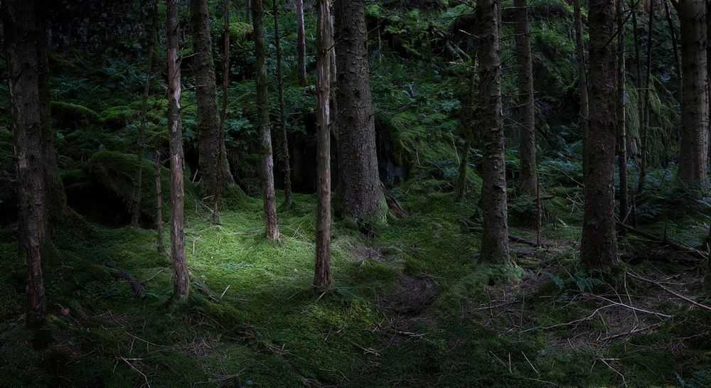 Ellie Davies, ‘The Gloaming 2 (Large)’, 2011, Print, C-Type Lightjet Print, null,