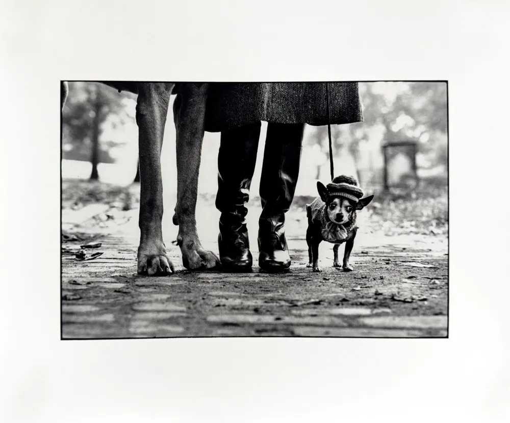 Elliott Erwitt, ‘Felix, Gladys and Rover’, 2024, Print, Archival pigment print on 314gsm Epson Legacy Platine fine art paper, null,
