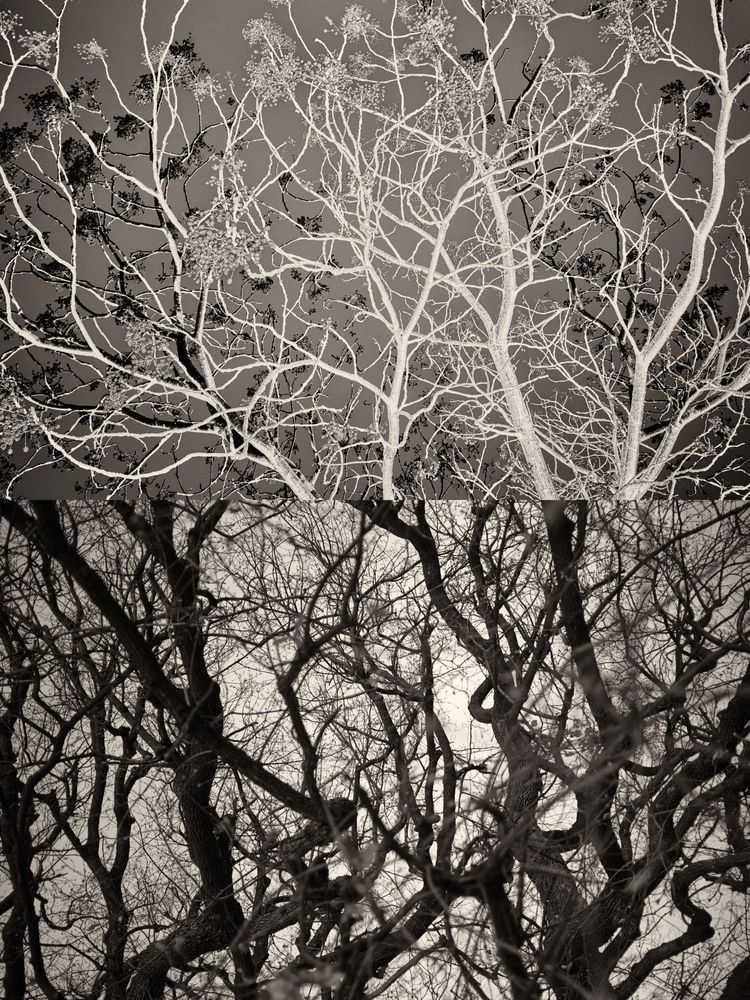 Jaume Llorens Bach, ‘Gaia Diptych 44 (Small)’, 2023, Print, Black And White Print, null, Numbered