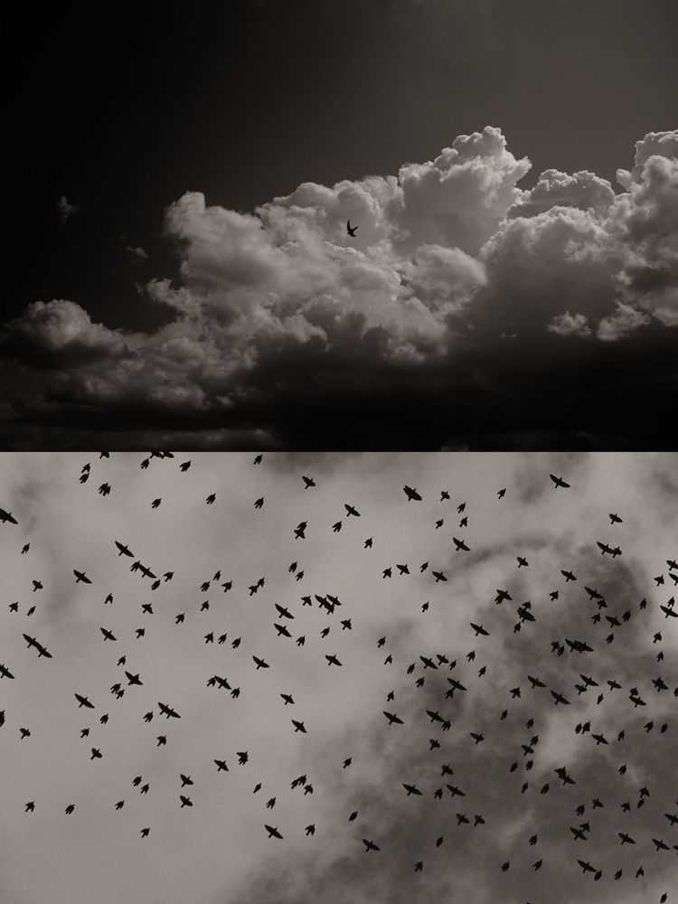 Jaume Llorens Bach, ‘Gaia Diptych 59 (Large)’, 2023, Print, Black And White Print, null, Numbered