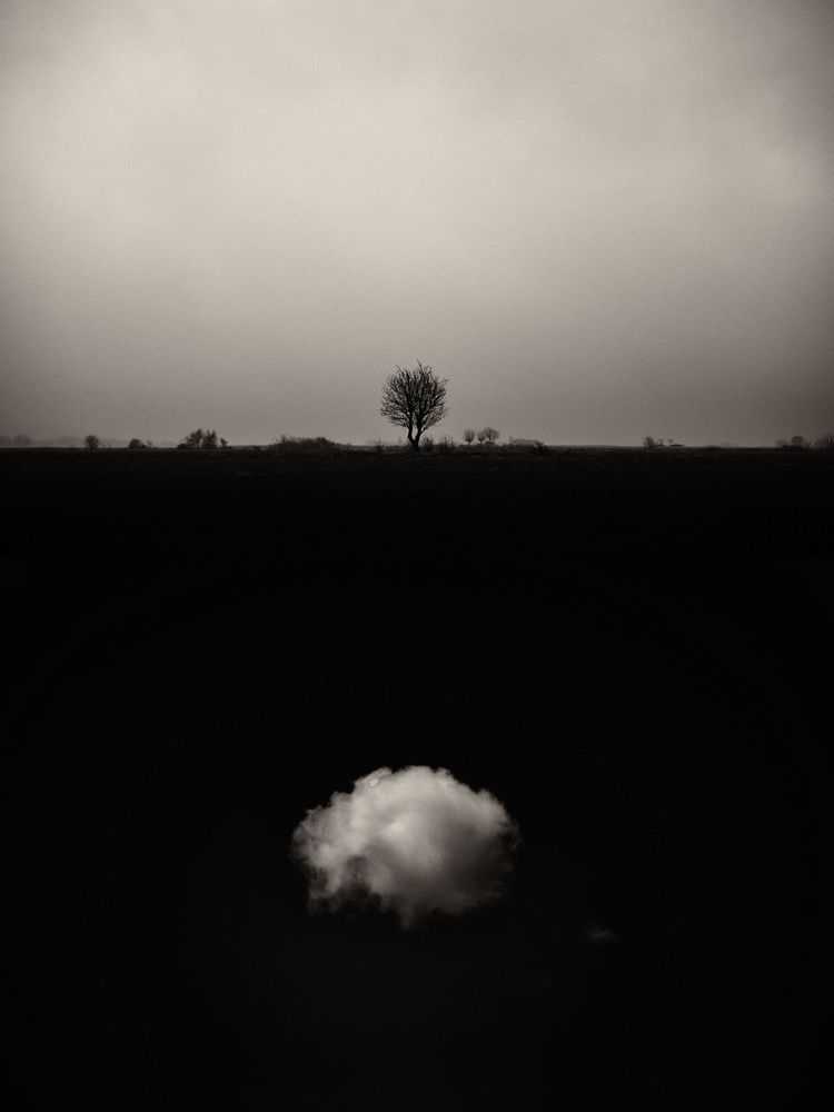 Jaume Llorens Bach, ‘Gaia Diptych 6 (Small)’, 2023, Print, Black And White Print, null, Numbered