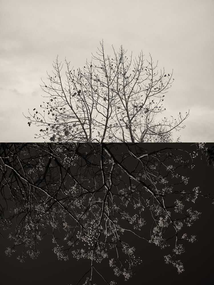 Jaume Llorens Bach, ‘Gaia Diptych 70b (Small)’, 2023, Print, Black And White Print, null, Numbered