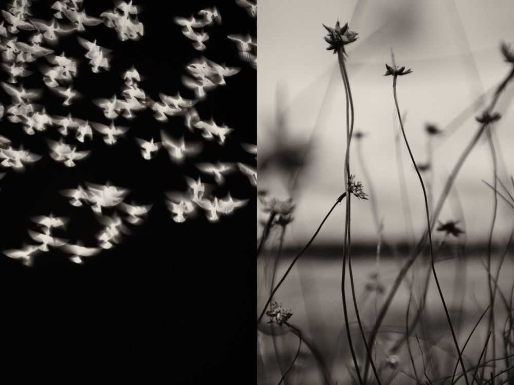 Jaume Llorens Bach, ‘Gaia Diptych 8 (Small)’, 2023, Print, Black And White Print, null, Numbered