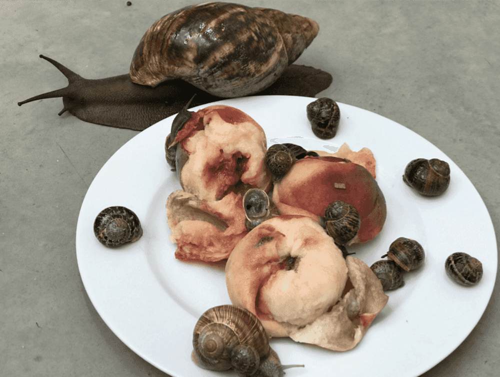 Juergen Teller, ‘Leg, Snails and Peaches No. 36, London’, 2018, Photography, Giclee print, null,
