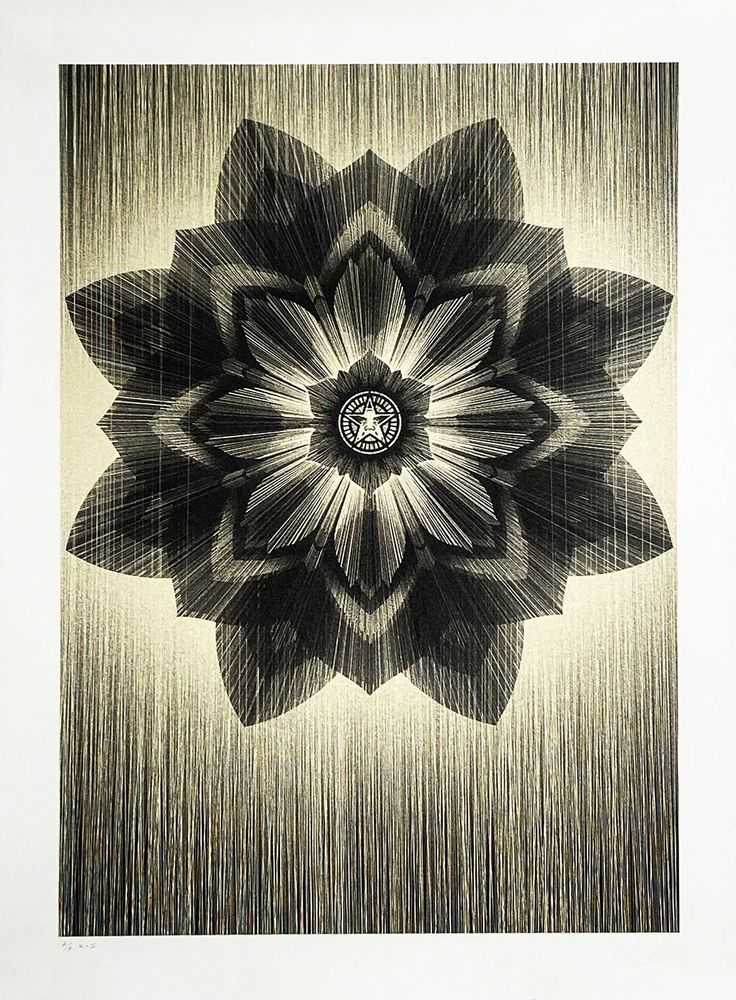 Kai & Sunny, ‘Black & Gold Stardust (Obey x Kai & Sunny)’, 12-09-2013, Print, Hand pulled 2 colour screenprint on 100% cotton somerset satin 300gsm, Self-released, Numbered