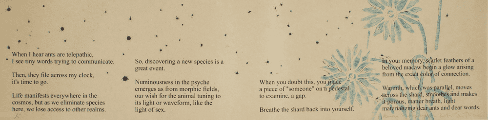 Kiki Smith, ‘Concordance Excerpt’, 2006, Print, Stenciled acrylic paint, Pthalo blue, Prussian blue, Copper with mica and silkscreened poem by Mei-Mei Bersenbrugge on overbeaten flax sheet paper, Brodsky Center at PAFA, Numbered, Dated
