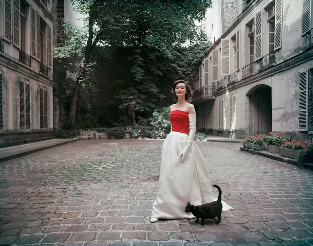 Mark Shaw, ‘Balenciaga Red and White Satin With Black Cat’, 1955, Print, Pigment print on Hahnemϋhle photo rag paper, null,
