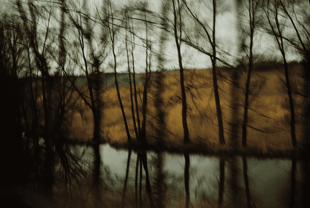 Nan Goldin, ‘Trees by the River’, 1994, Photography, Dye destruction print, null, Numbered, Dated