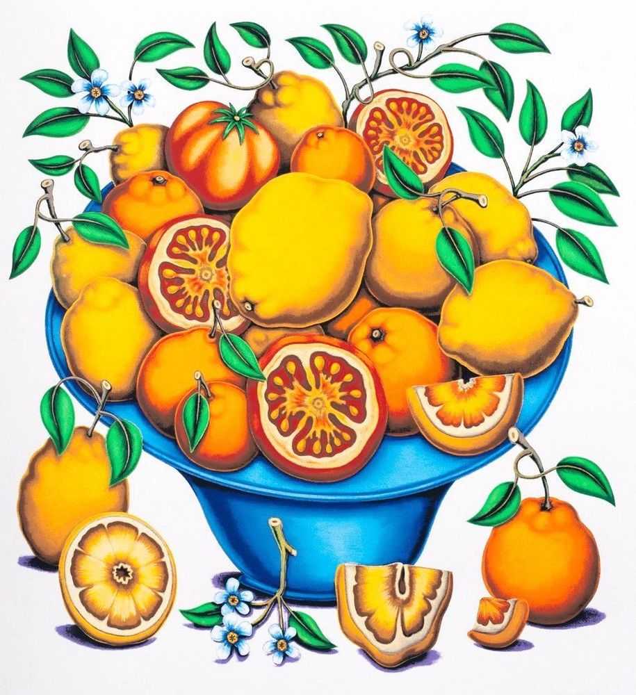 Pedro Pedro, ‘Bowls with Citrus, Flowers and Sliced Tomatoes 2’, 02-06-2022, Print, Hand-Pulled screenprint on Mohawk Superfine UltraWhite, 160 lb cover, Louis Buhl & Co., Numbered