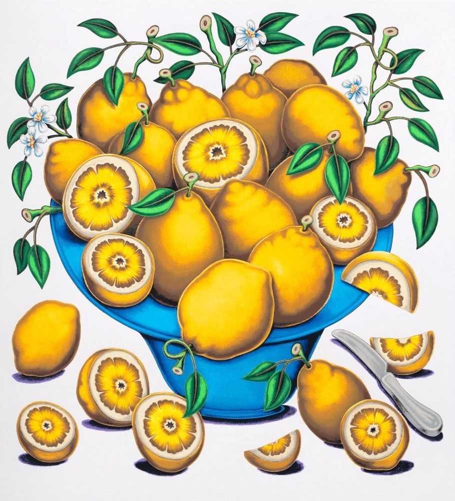 Pedro Pedro, ‘Bowls with Citrus, Flowers and Sliced Tomatoes 3’, 02-06-2022, Print, Hand-Pulled screenprint on Mohawk Superfine UltraWhite, 160 lb cover, Louis Buhl & Co., Numbered
