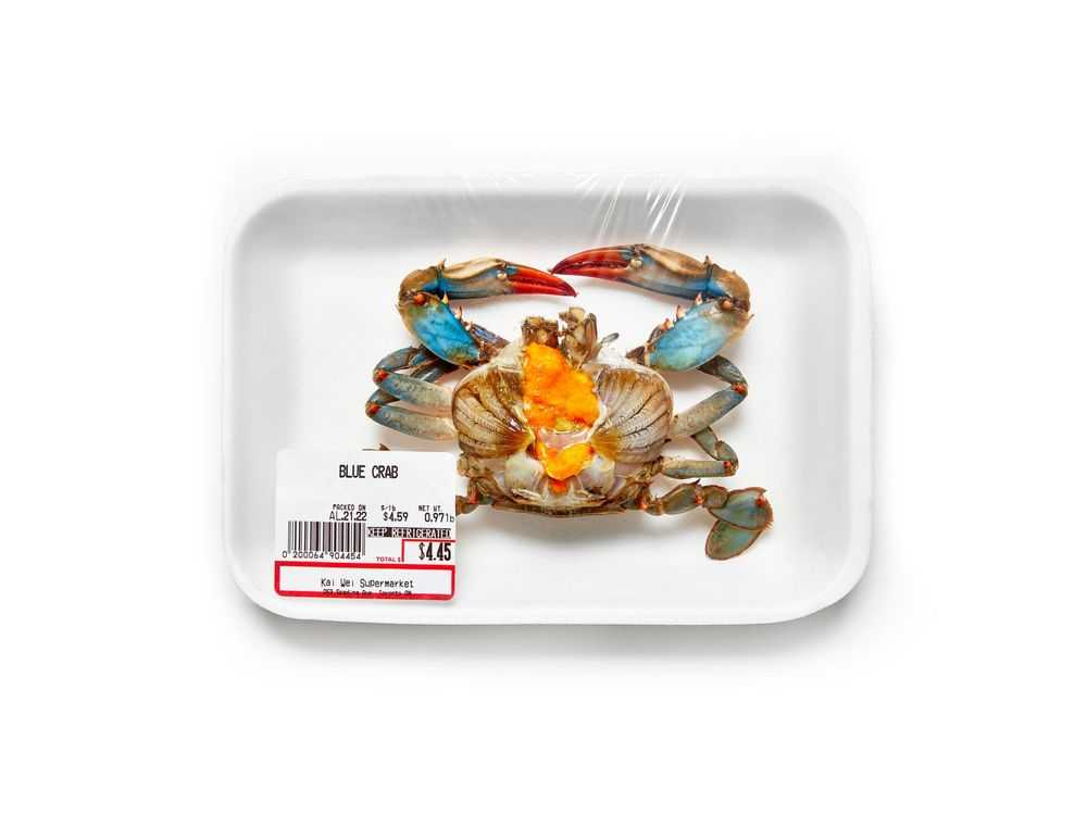 Peter Andrew Lusztyk, ‘Still Life- Blue Crab (Medium)’, 2023, Print, Digital C-Print / Archival Pigment Print, null,