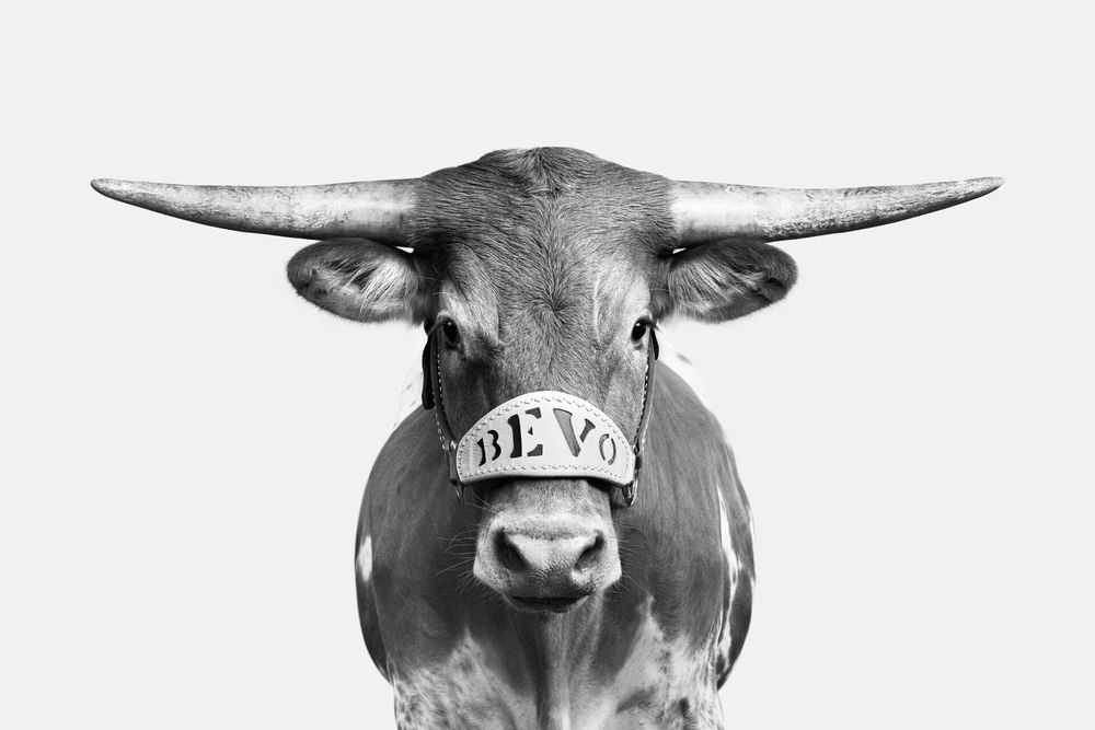 Randal Ford, ‘Bevo XV (BW) (Medium)’, 2018, Print, Digital C-Print on Archival Photographic Paper, null,