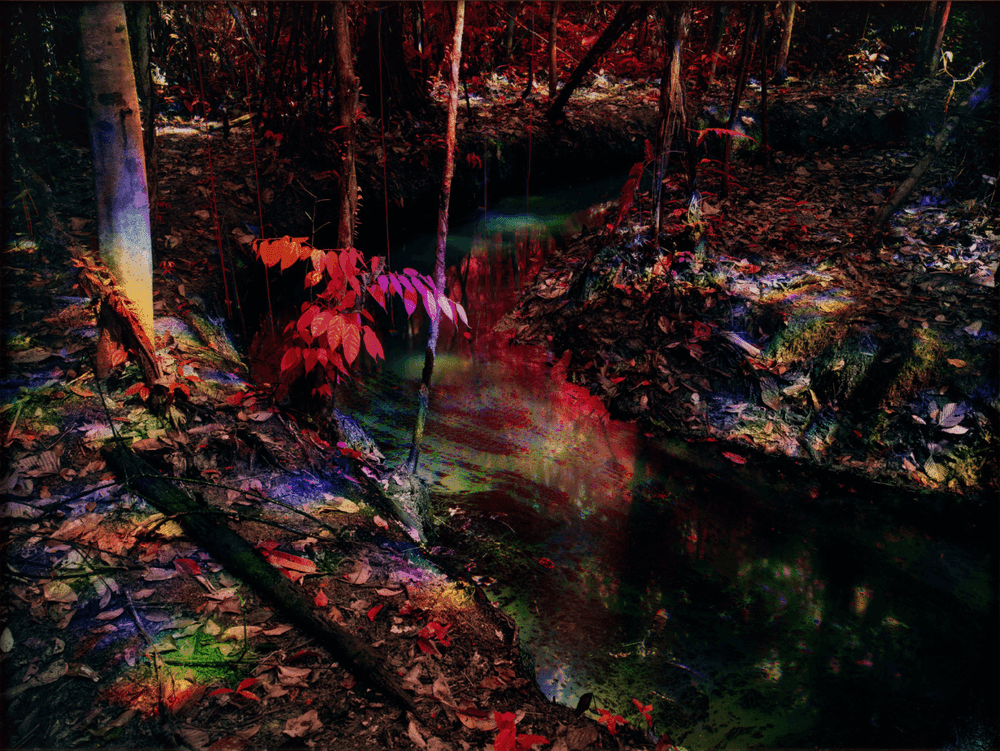 Richard Mosse, ‘Oil Spill on Kichwa Territory II, Block 192, Rio Tigre, Loreto’, 2023, Photography, C-print, null,