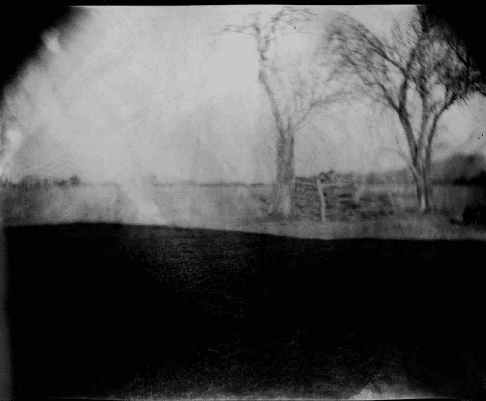 Sally Mann, ‘Georgia Untitled (Dodd's Farm)’, 1996, Print, Tea-toned silver gelatin print, null,