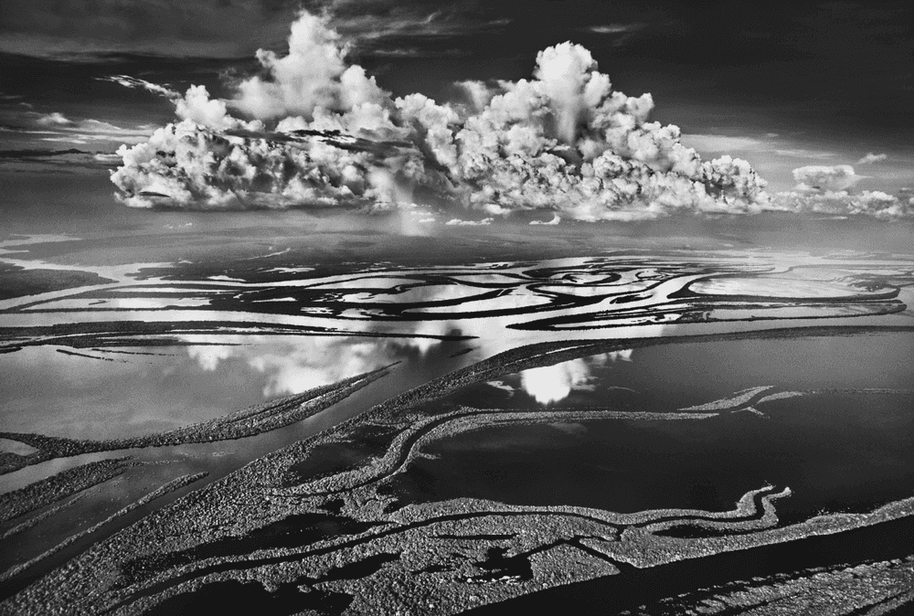 Sebastião Salgado, ‘Anavilhanas National Park, State of Amazonas, Brazil’, 2009, Print, Platinum-Palladium Print, null, Dated