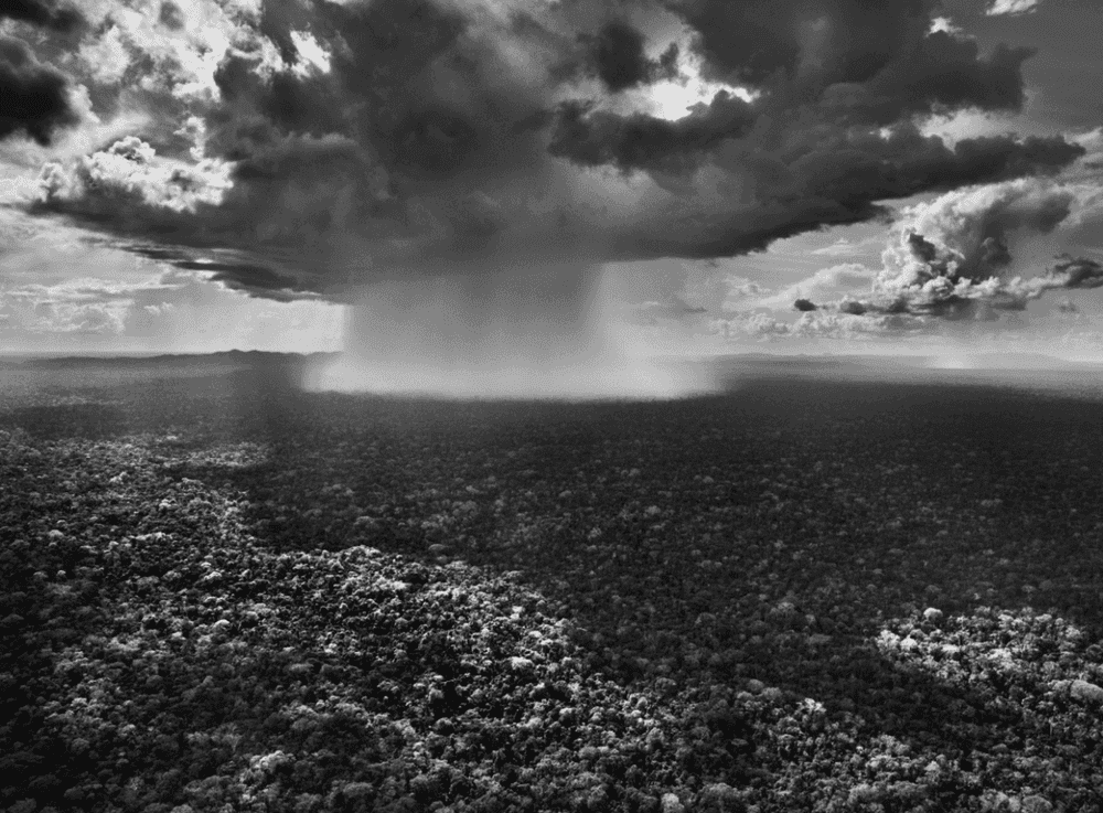 Sebastião Salgado, ‘Serra do Divisor National Park, State of Acre, Brazil’, 2016, Print, Platinum-Palladium Print, null, Dated