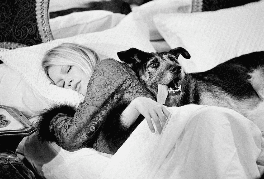 Terry O'Neill, ‘Brigitte Bardot with Dog (CO-SIGNED EDITIONS)’, 1970, Photography, Lifetime Edition Gelatin Silver Print, null,