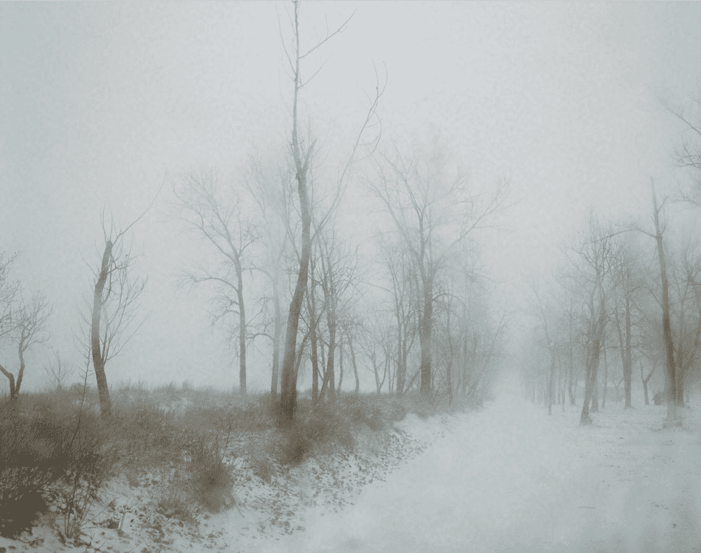 Todd Hido, ‘11188-06’, 2014, Photography, Archival Pigment Print., null, Dated