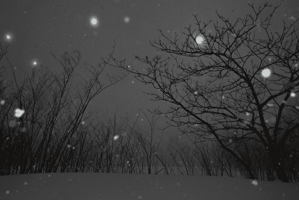 Todd Hido, ‘11682-5547’, 2016, Photography, Archival Pigment Print., null, Dated