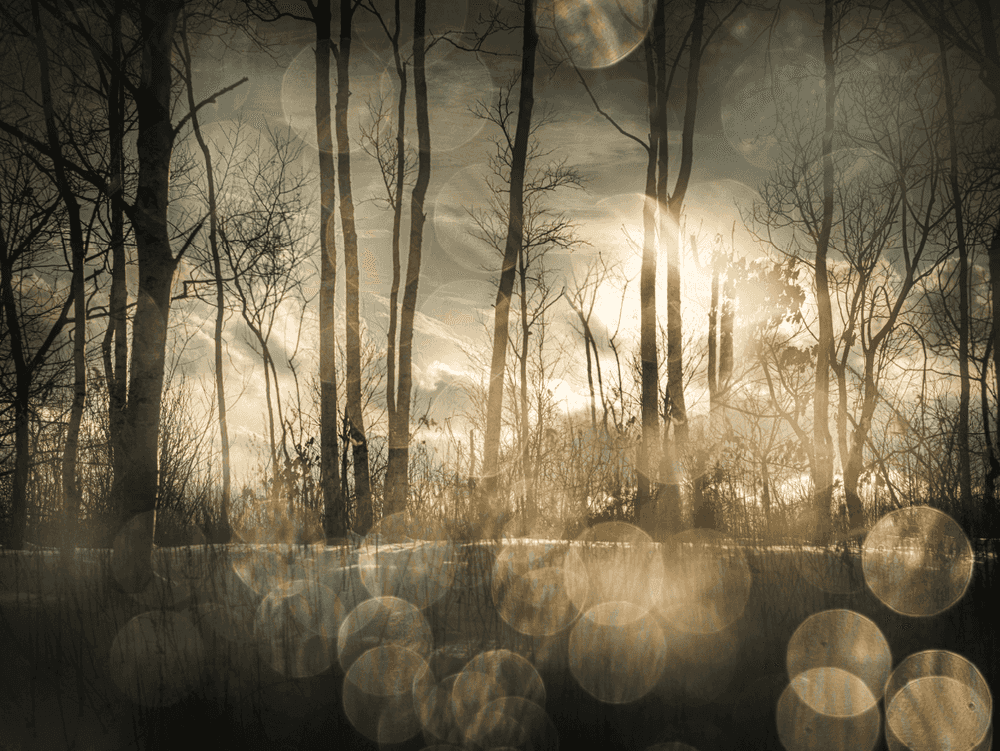 Todd Hido, ‘11685-2448’, 2018, Photography, Archival pigment print, null, Dated