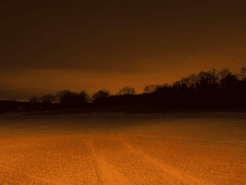 Todd Hido, ‘11785-5321’, 2017, Photography, Archival Pigment Print., null, Dated