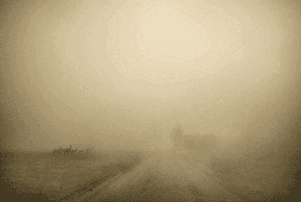 Todd Hido, ‘11798-3574’, 2018, Photography, Archival pigment print, null, Dated