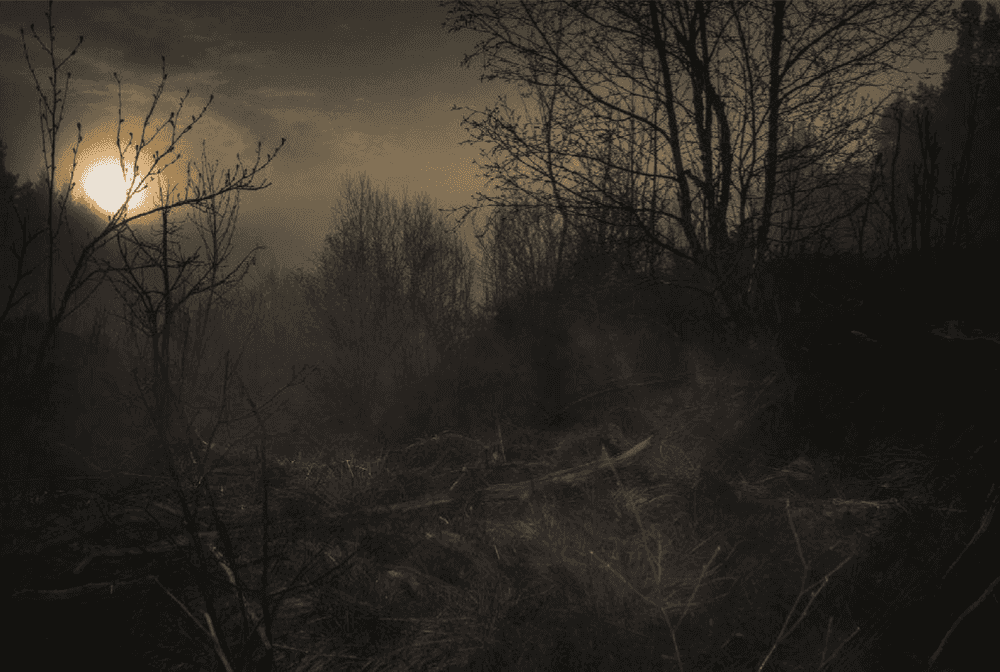Todd Hido, ‘#11798-4172’, 2017, Photography, Archival pigment print, null, Dated
