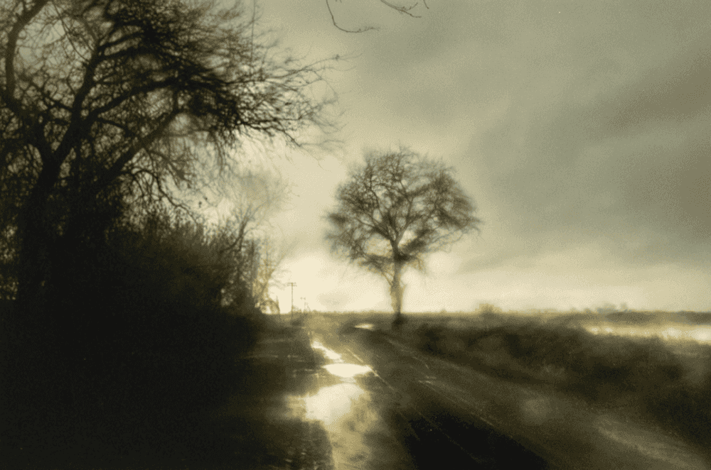 Todd Hido, ‘12159-0146’, 2023, Photography, Archival Pigment Print., null, Numbered, Dated
