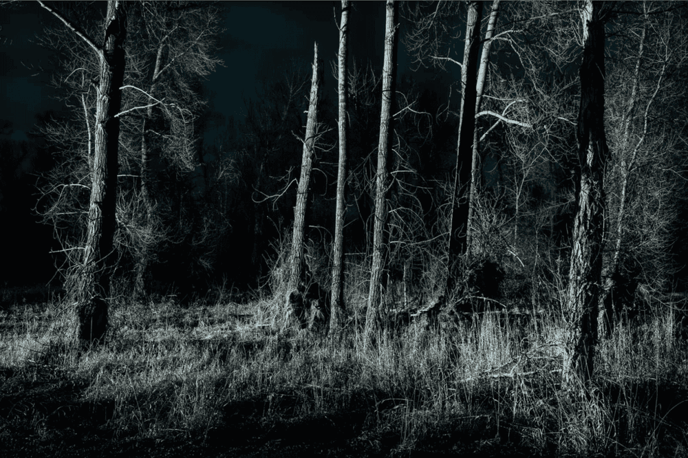 Todd Hido, ‘12187-295’, 2024, Photography, Archival Pigment Print., null, Numbered, Dated