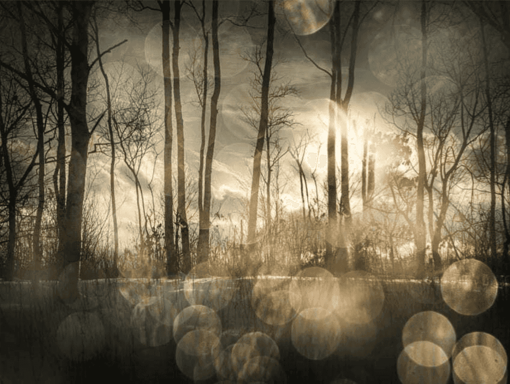 Todd Hido, ‘Untitled #11685-2448’, 2018, Photography, Digital pigment print, null,