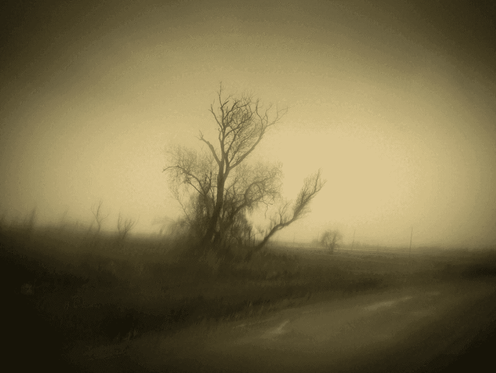 Todd Hido, ‘Untitled #11687-2651’, 2016, Photography, Archival inkjet print, null,