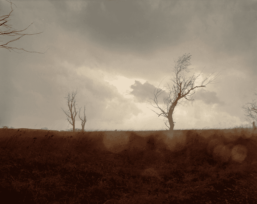 Todd Hido, ‘Untitled #5462’, 2006, Photography, Archival Pigment Print, null,