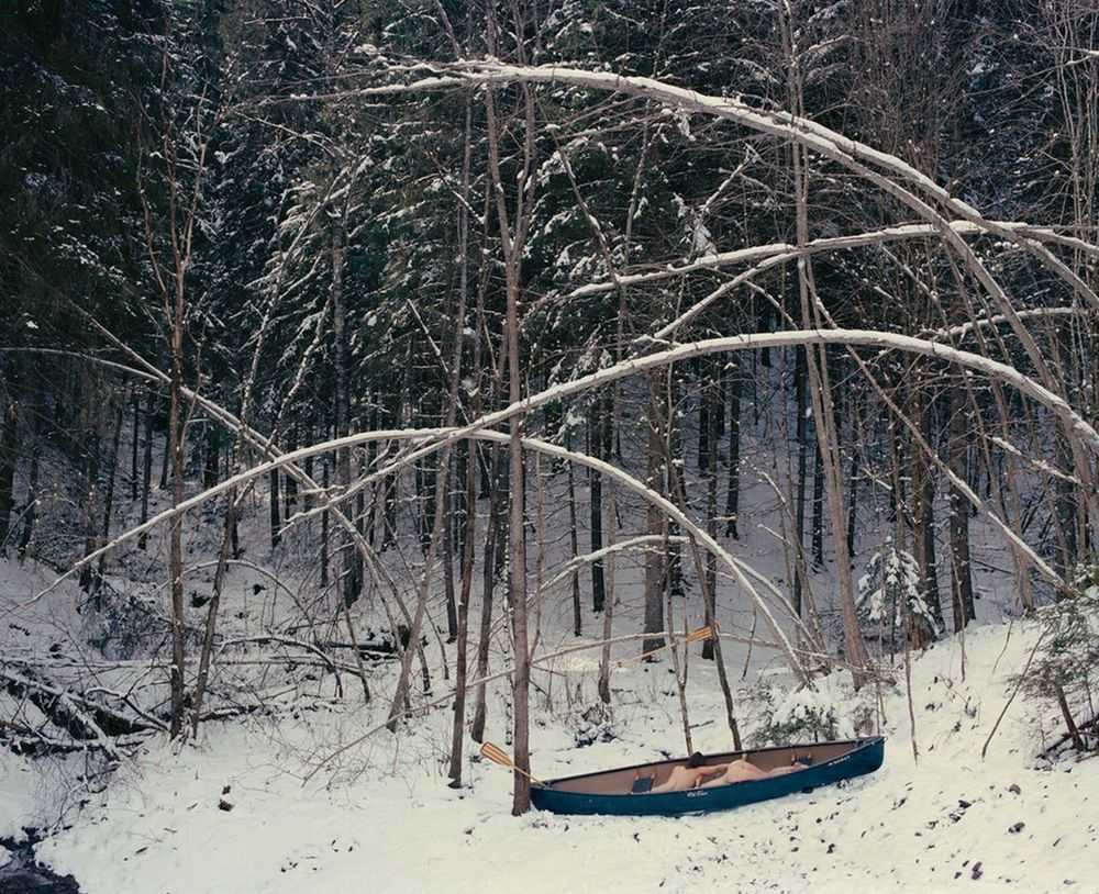 Vikram Kushwah, ‘Nude in Boat in the Forest (Medium)’, 2017, Print, Hahnemühle Photorag fine art cotton paper., null, Numbered