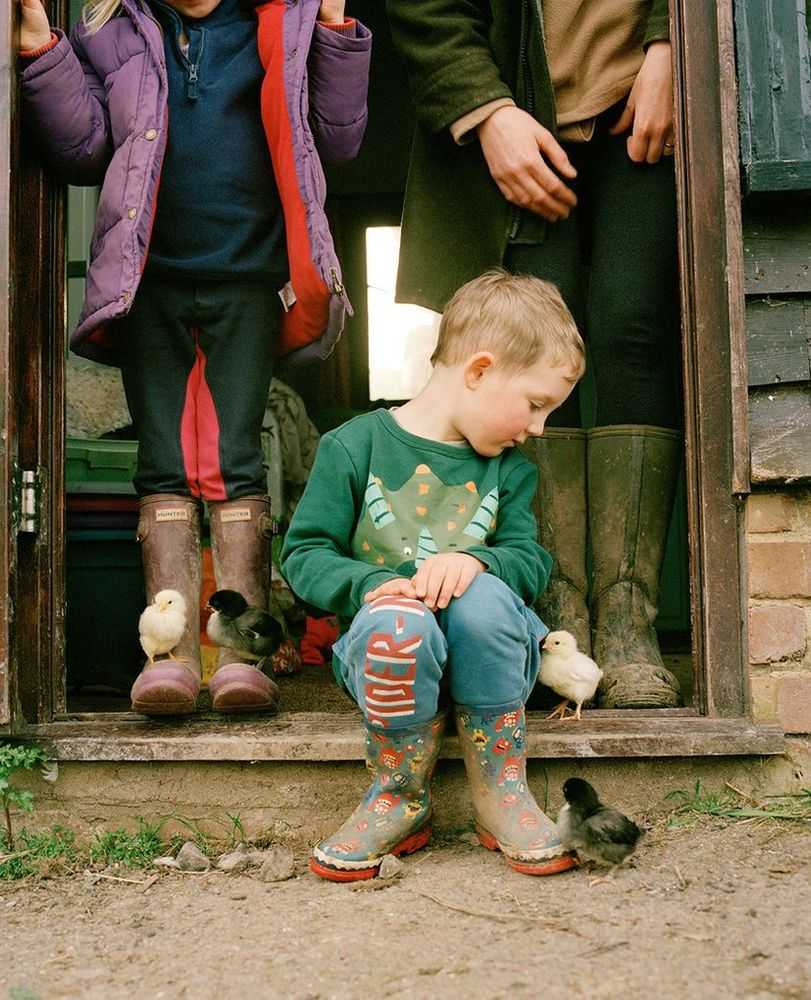 Vikram Kushwah, ‘The Chick Who Tried to Climb Rupert's Leg (Small)’, 2022, Print, Hahnemühle Photorag fine art cotton paper., null, Numbered