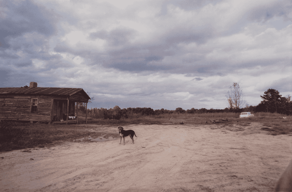 William Eggleston, ‘Near Extinct Wannalaw Plantation, Mississippi’, 1972, Print, Dye Transfer Print, null,